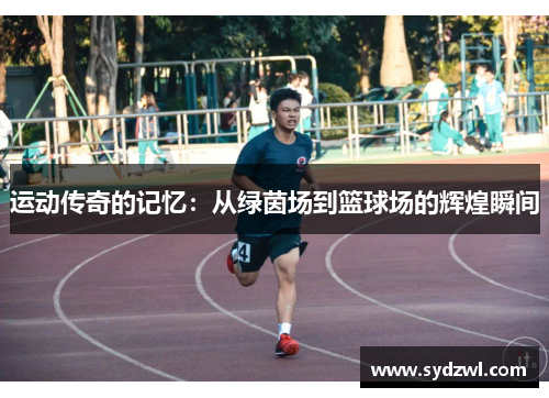 运动传奇的记忆：从绿茵场到篮球场的辉煌瞬间