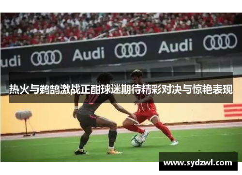 热火与鹈鹄激战正酣球迷期待精彩对决与惊艳表现